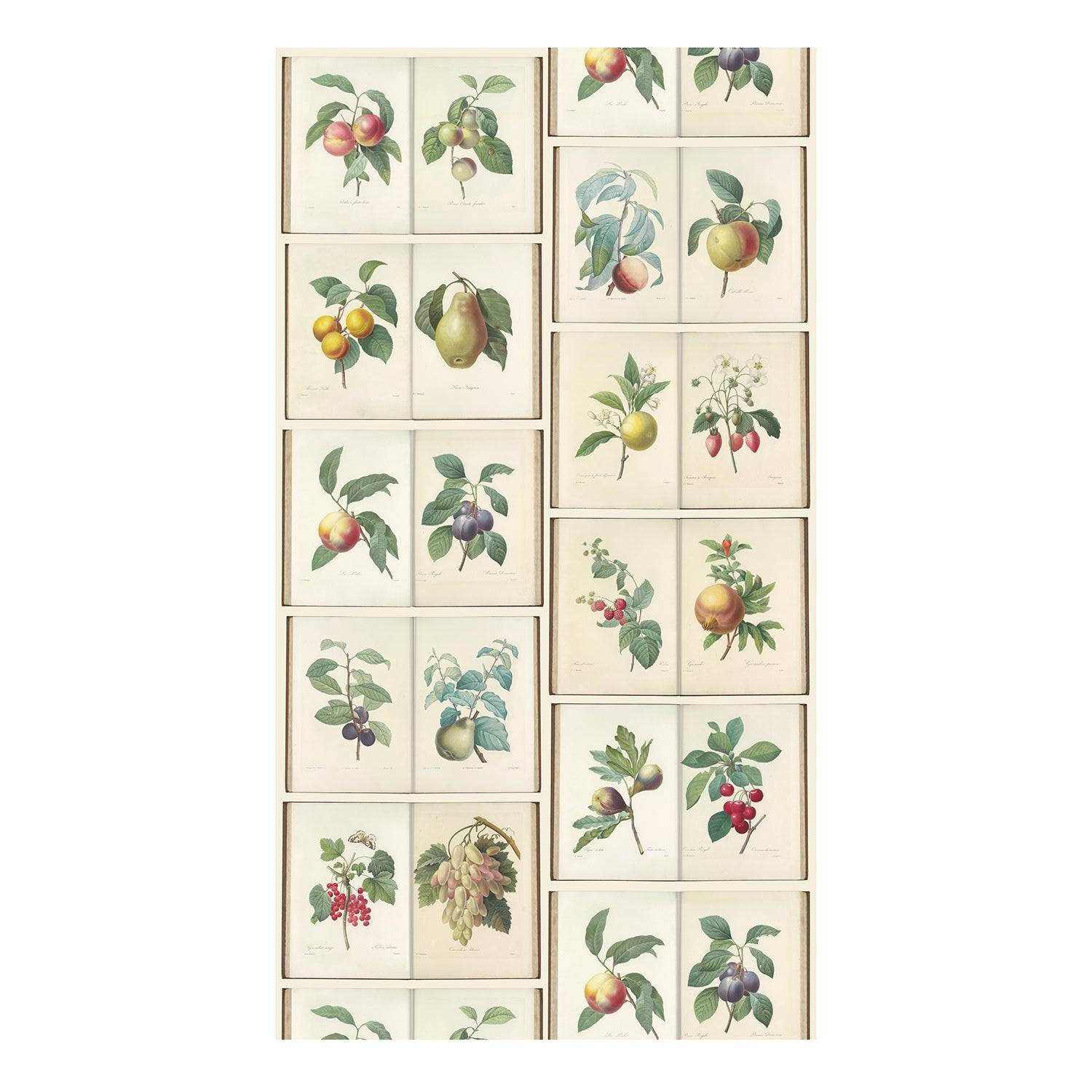 Graceful Garden Fruit Panel